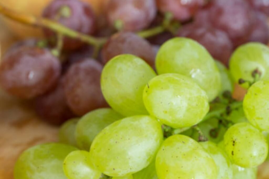 Uva de mesa Thompson Seedless e Red Globe